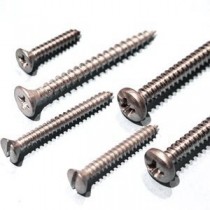 Self Tapping Screws